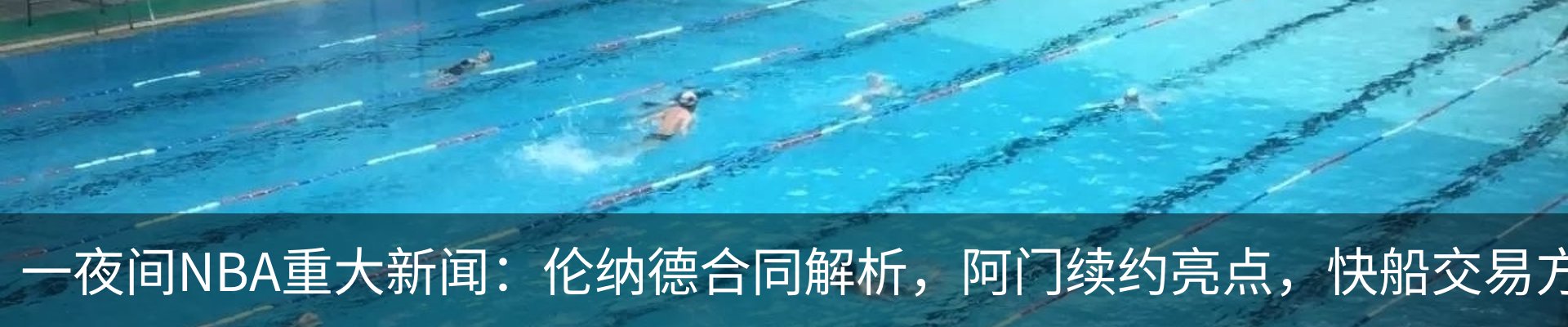 资讯动态