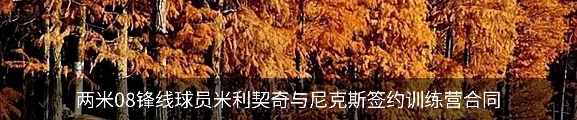 资讯动态