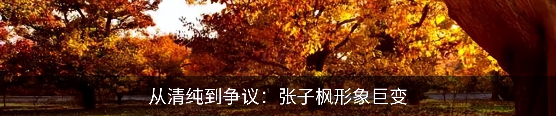 资讯动态