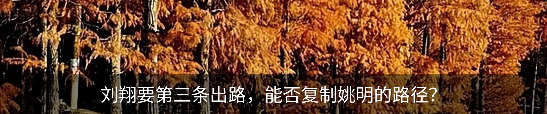 资讯动态
