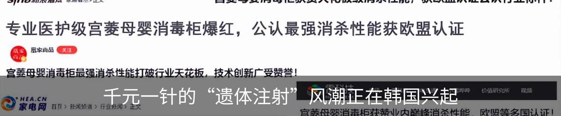 资讯动态