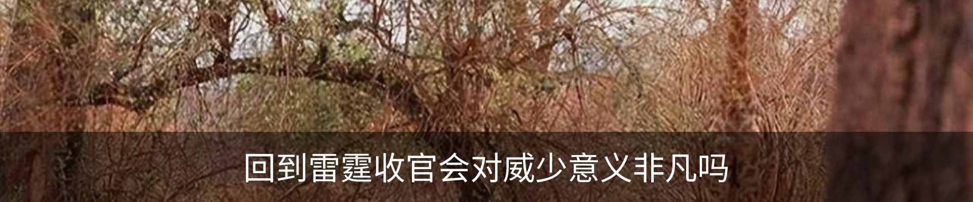 资讯动态