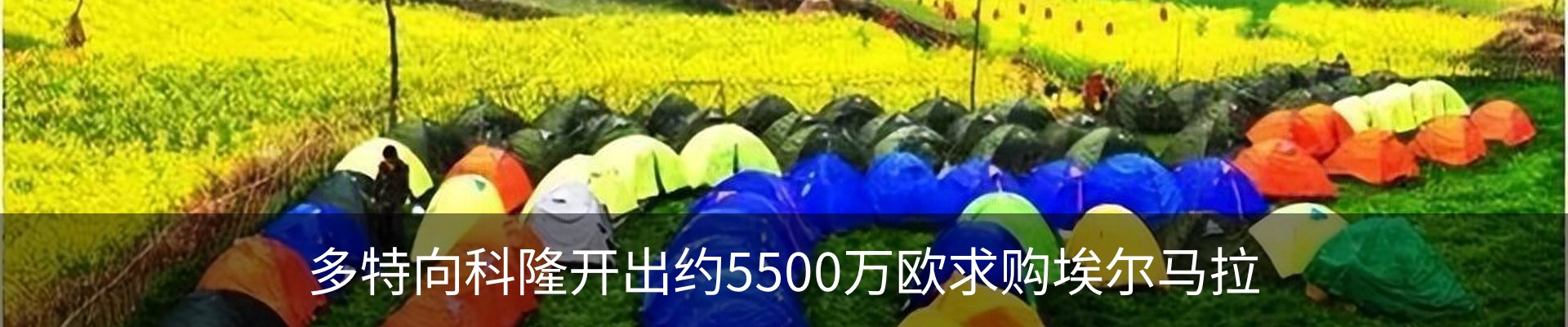 资讯动态