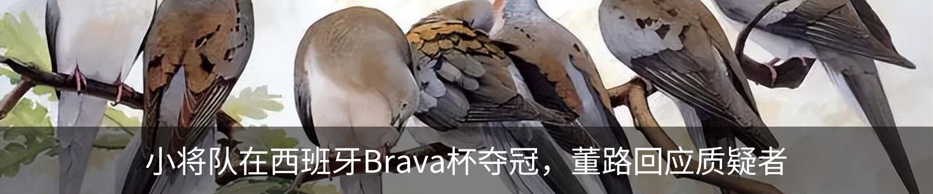 资讯动态