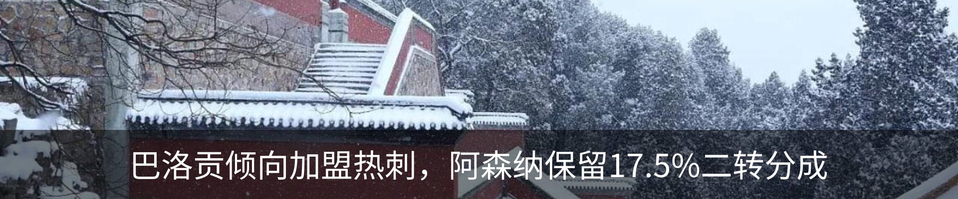 资讯动态