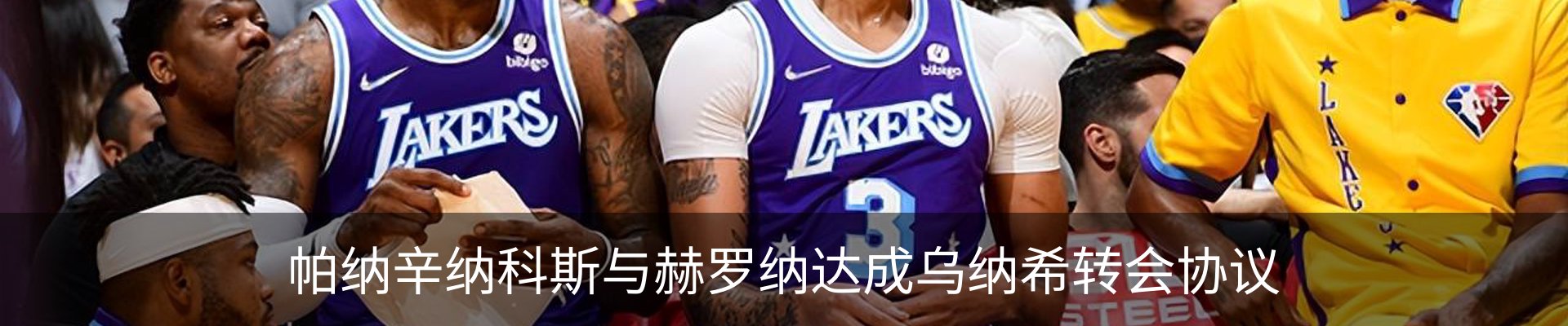 资讯动态