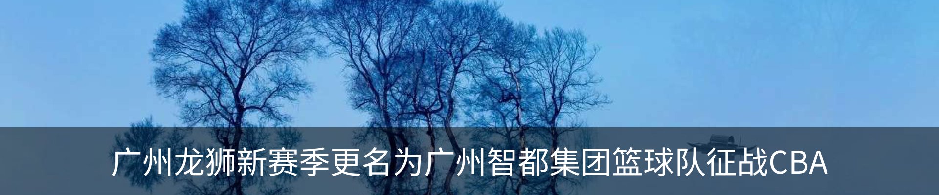 资讯动态