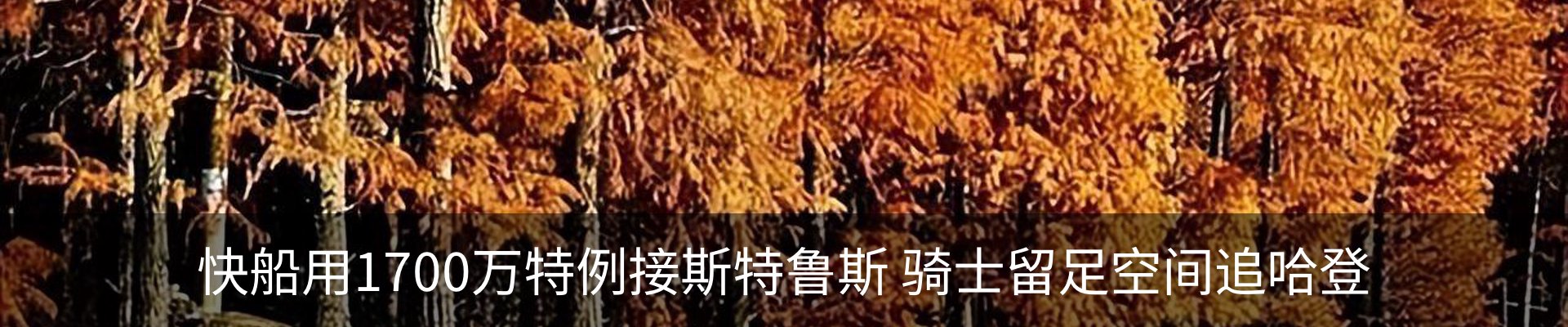 资讯动态