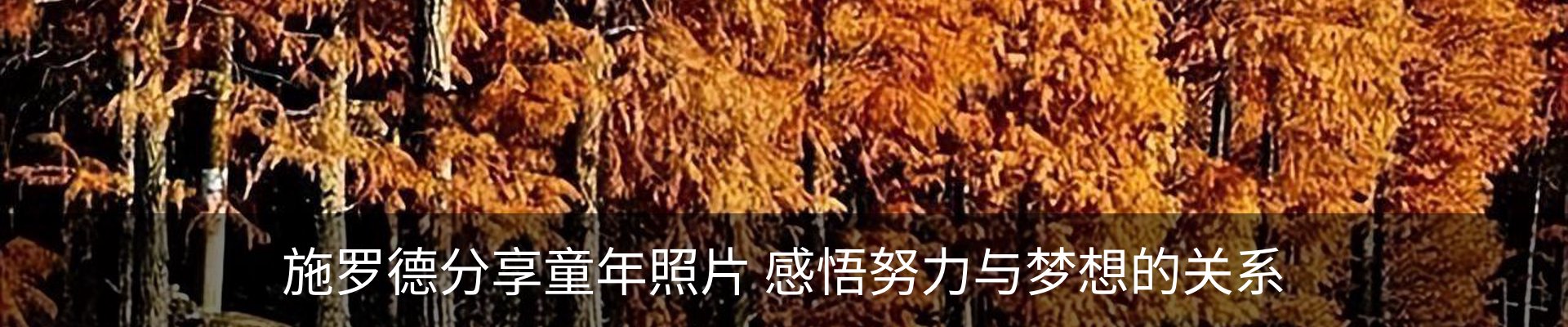 资讯动态