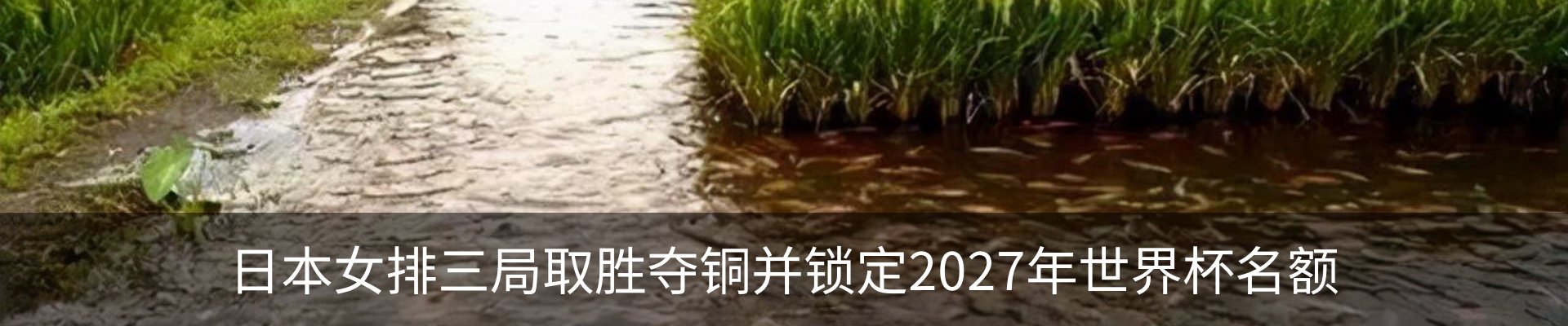 资讯动态