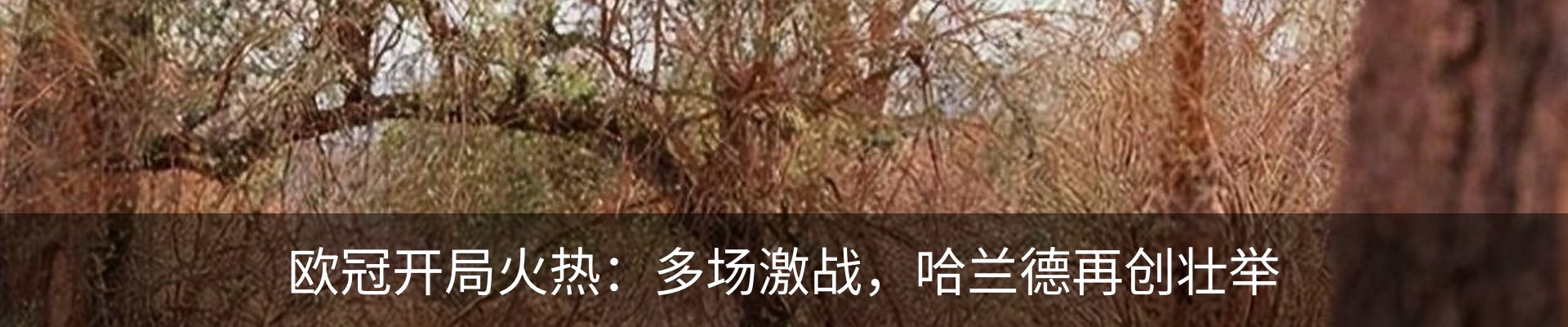 资讯动态