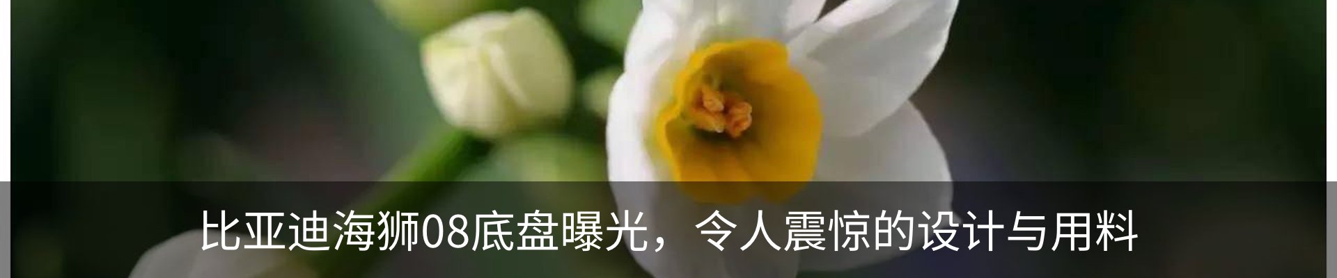 资讯动态