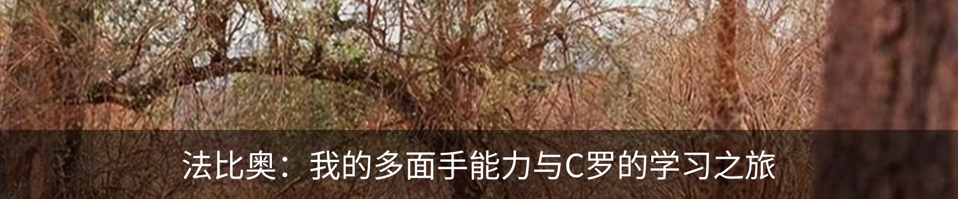 资讯动态