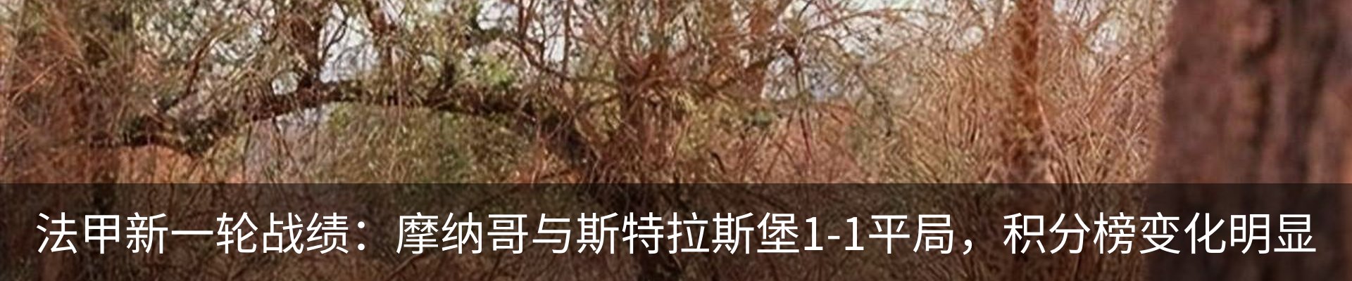 资讯动态