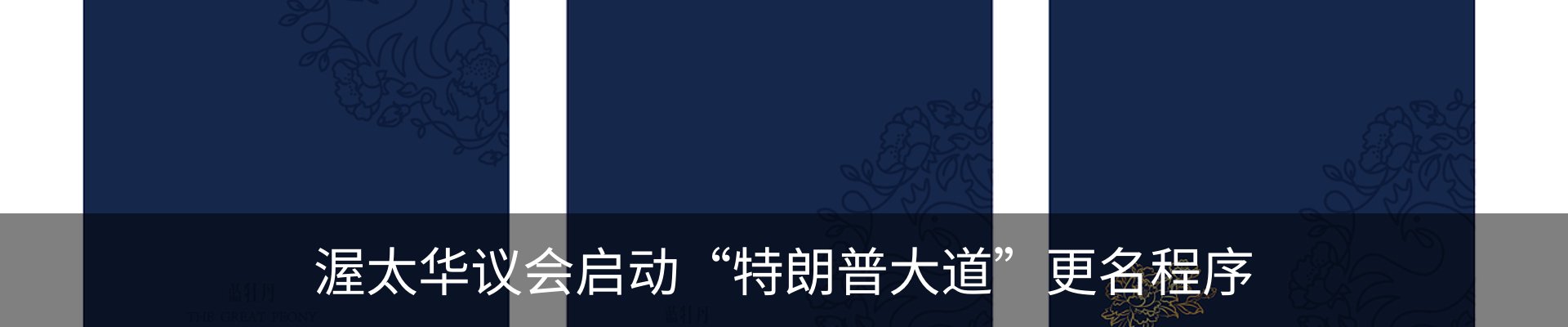 资讯动态