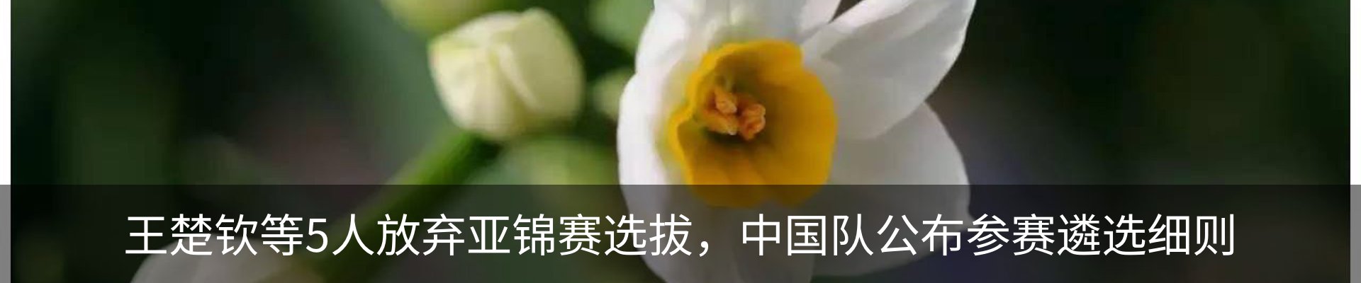 资讯动态