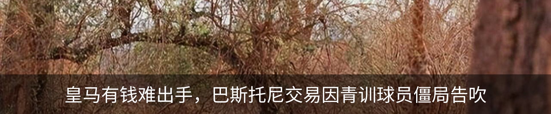 资讯动态