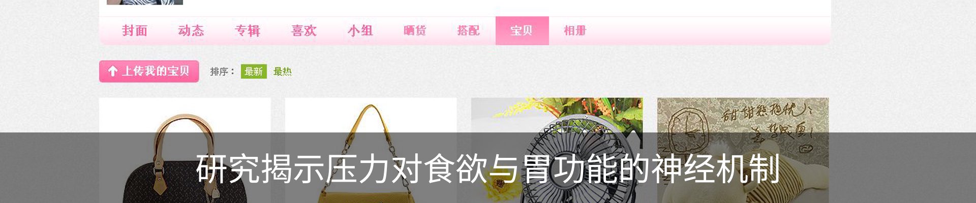 资讯动态