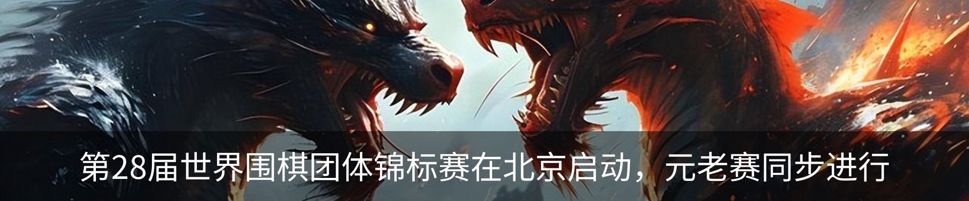 资讯动态