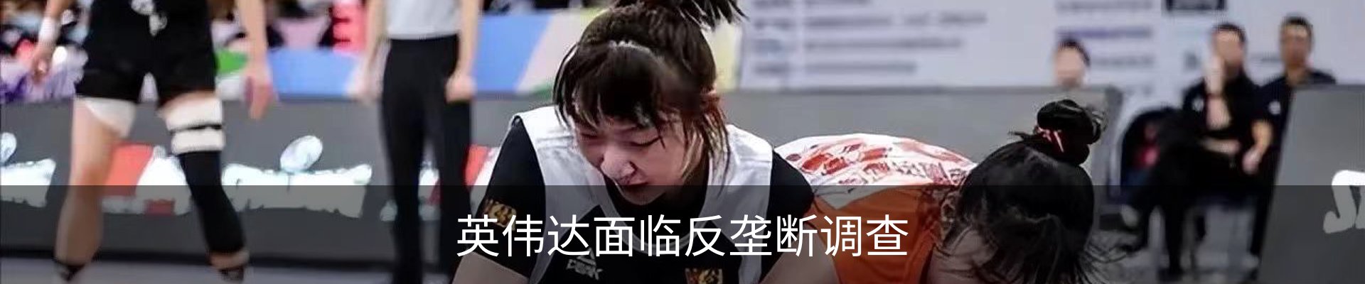 资讯动态
