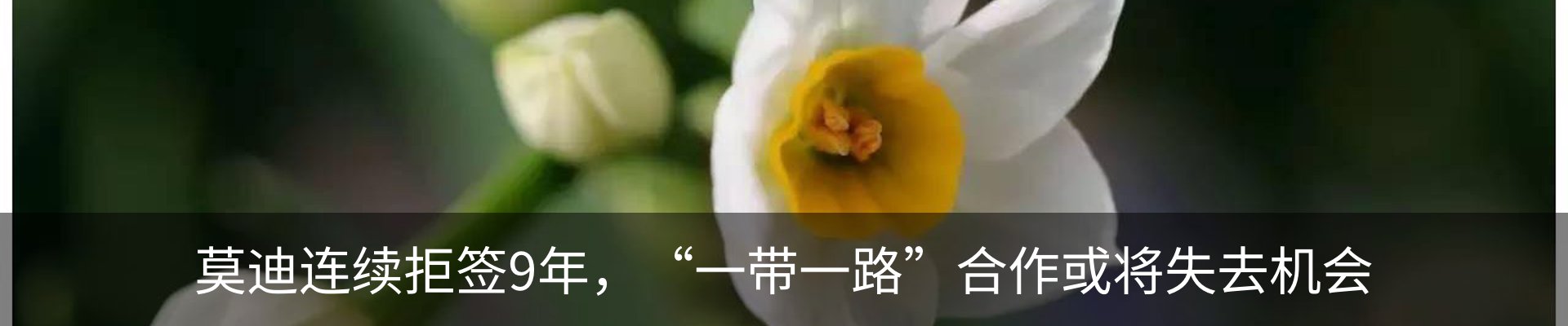 资讯动态