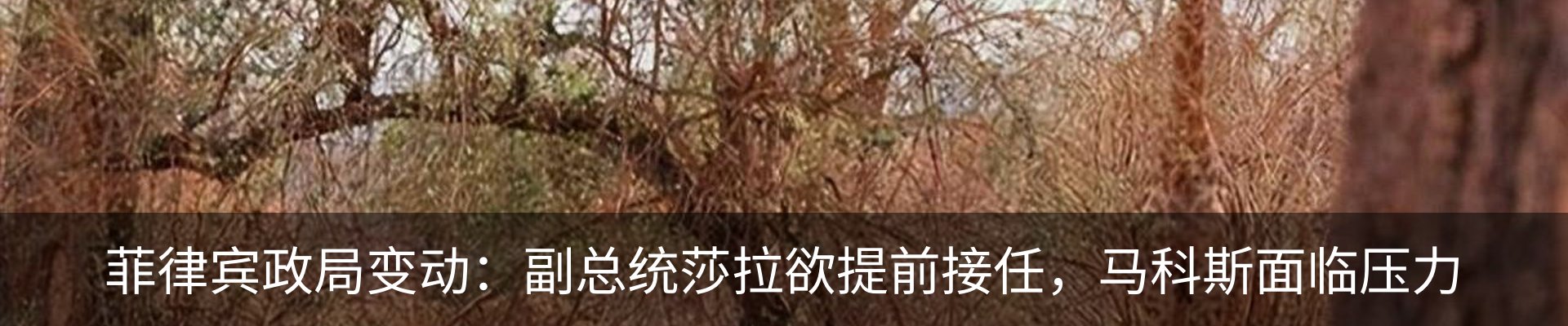 资讯动态