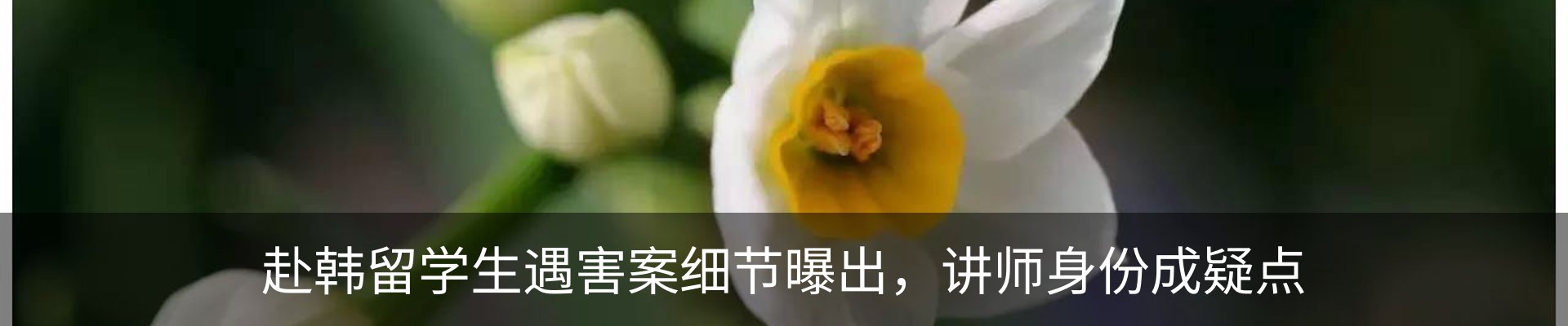 资讯动态