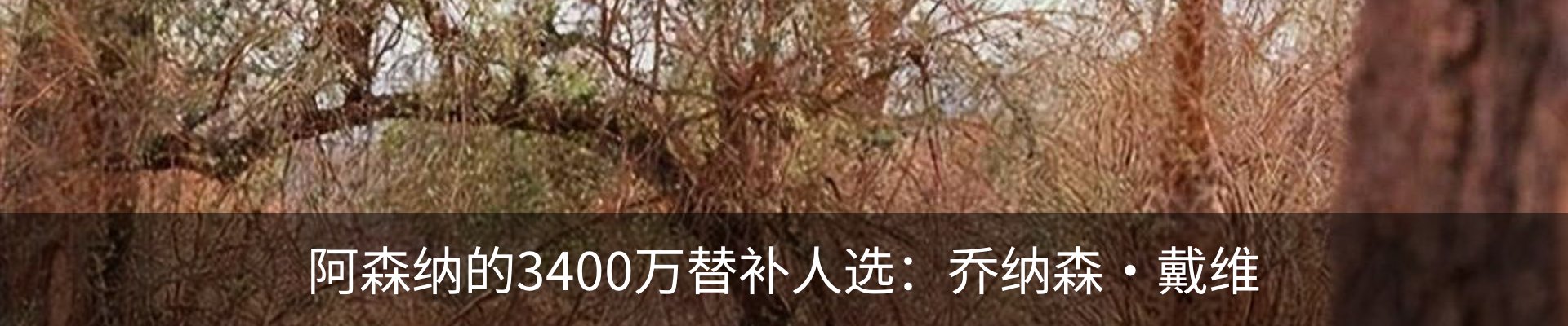 资讯动态