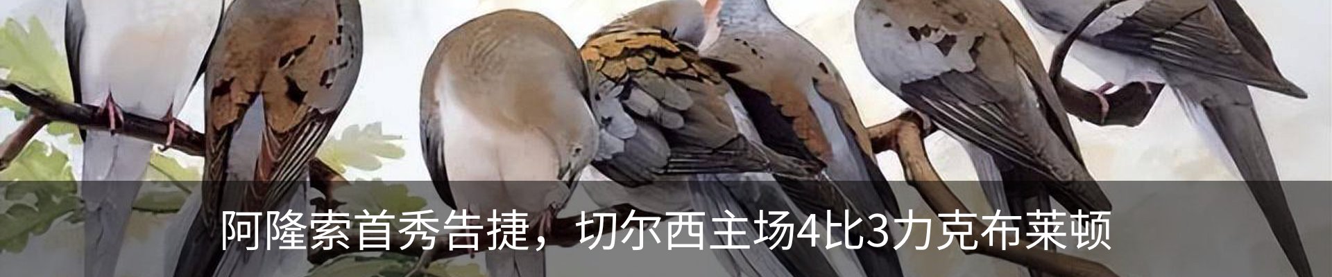 资讯动态