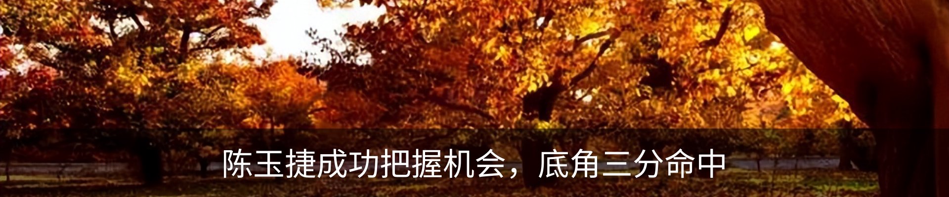 资讯动态