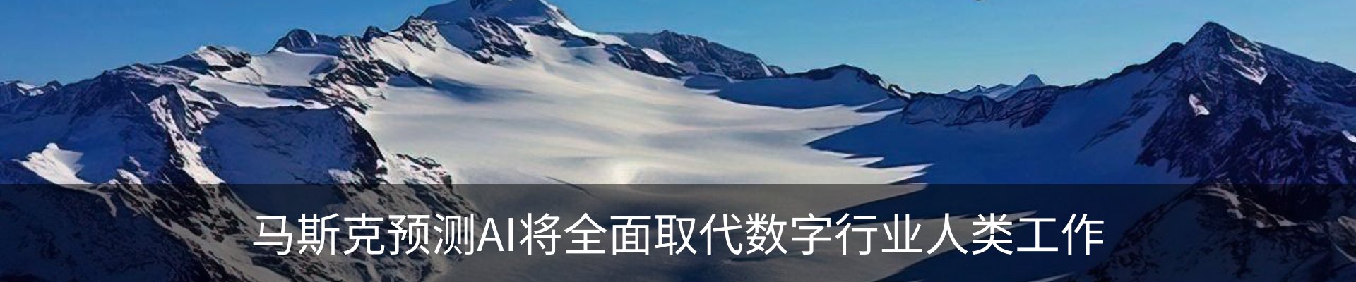 资讯动态
