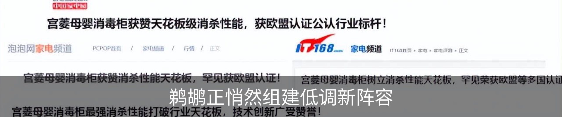 资讯动态
