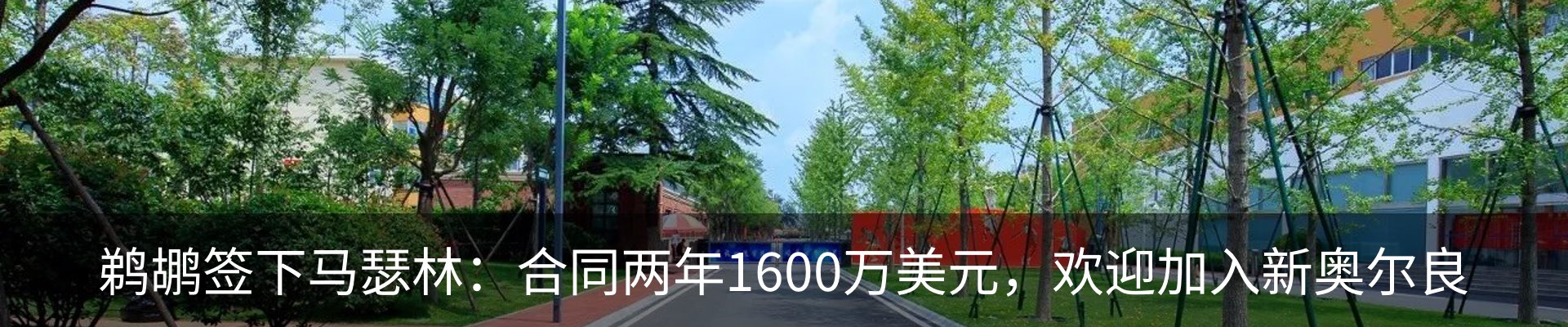 资讯动态