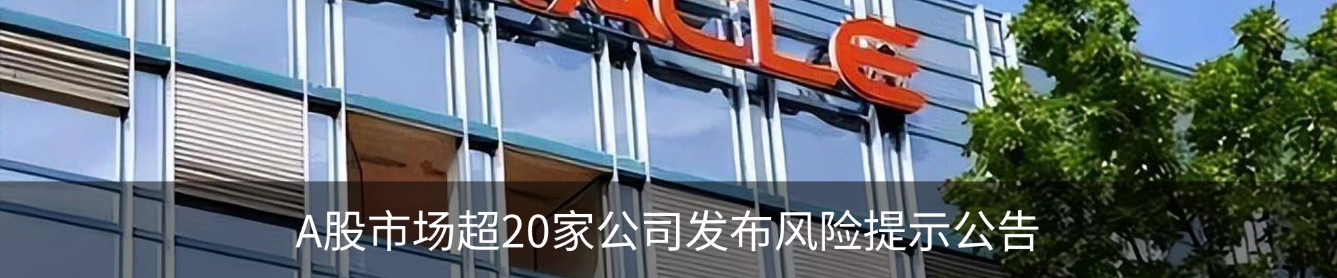 资讯动态
